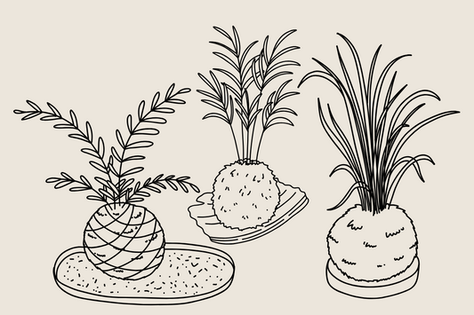 Het verzorgen van een kokedama