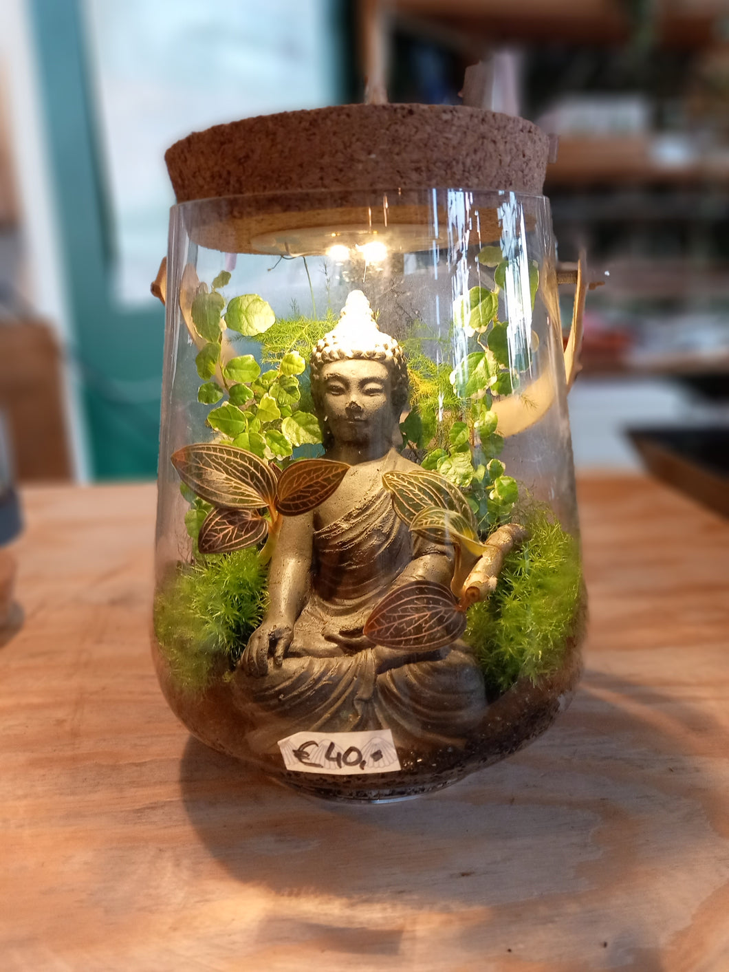Ecosysteem met orchid jewels, een boeddha en verlichting