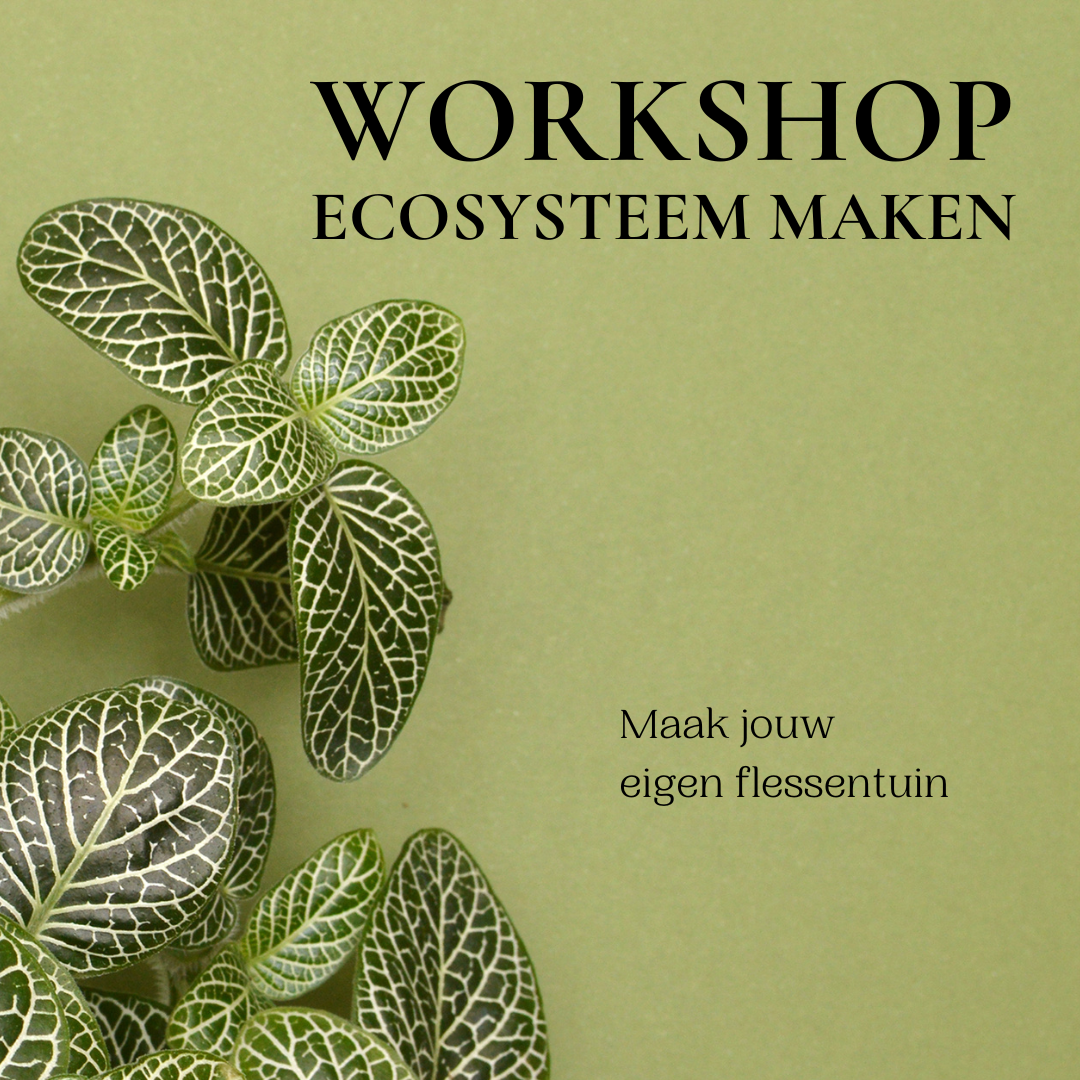 9 mei - workshop in de hortus