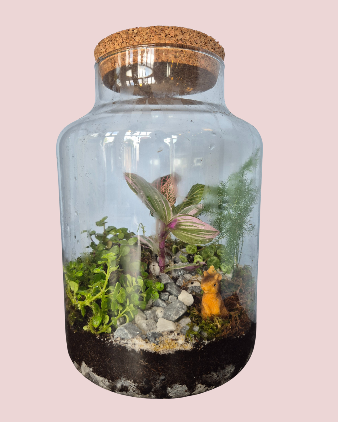Ecosysteem maken