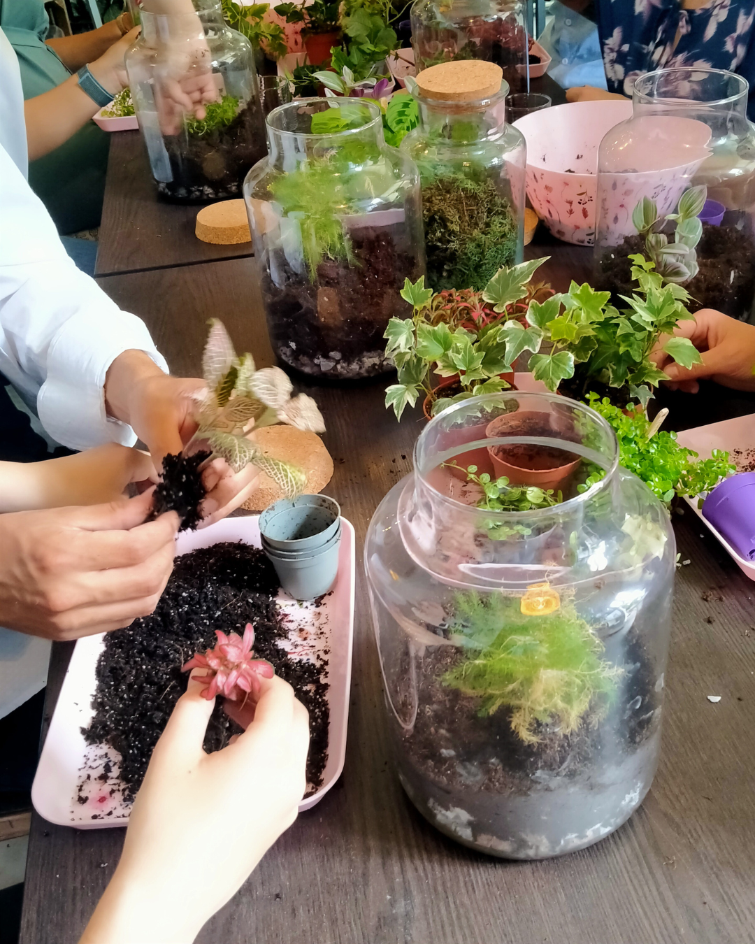 Ecosysteem maken