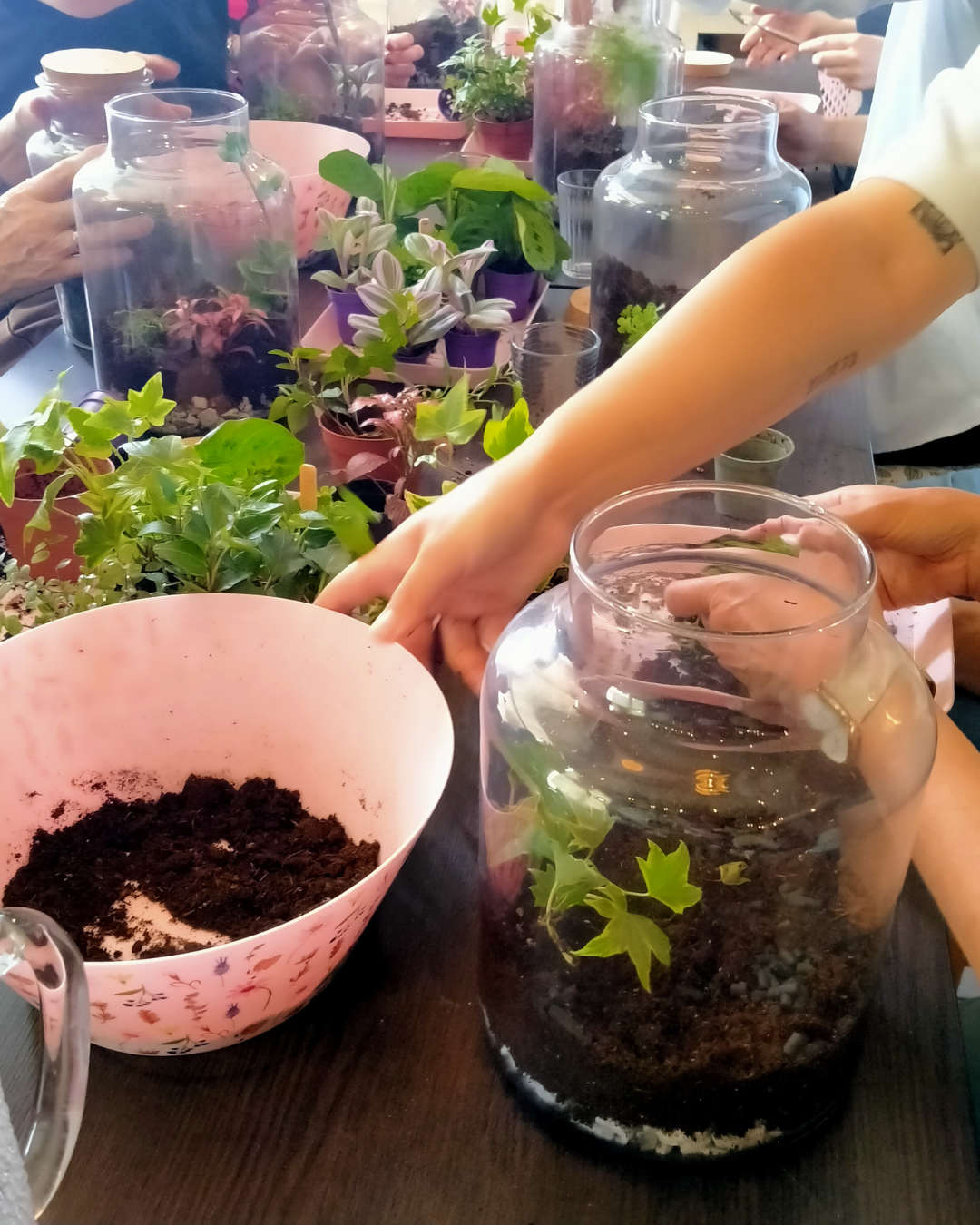 Ecosysteem maken