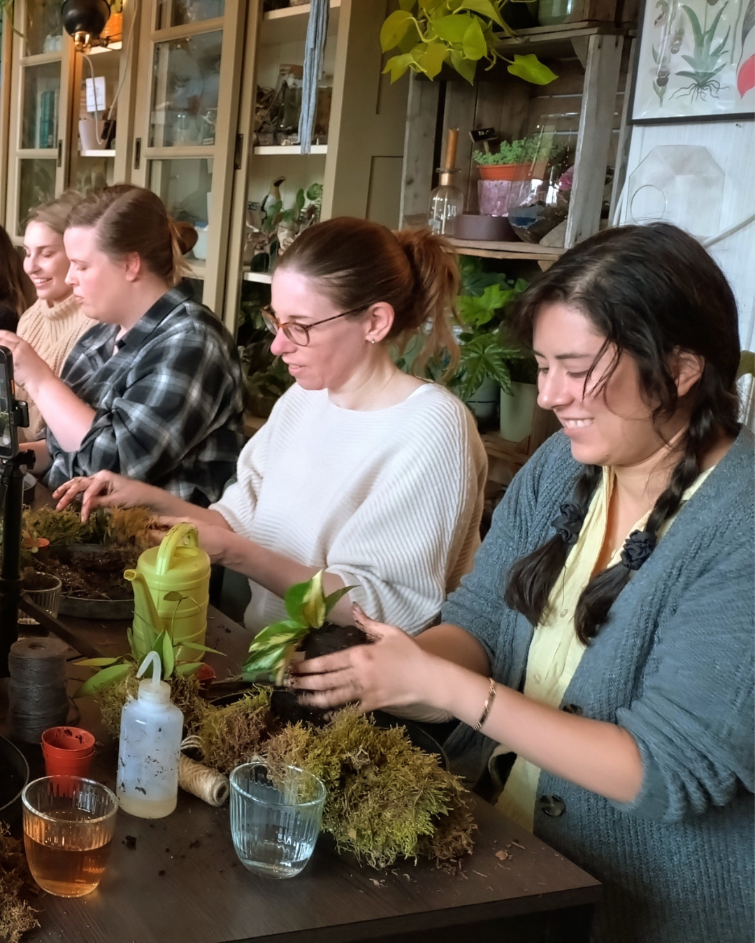 Kokedama's maken