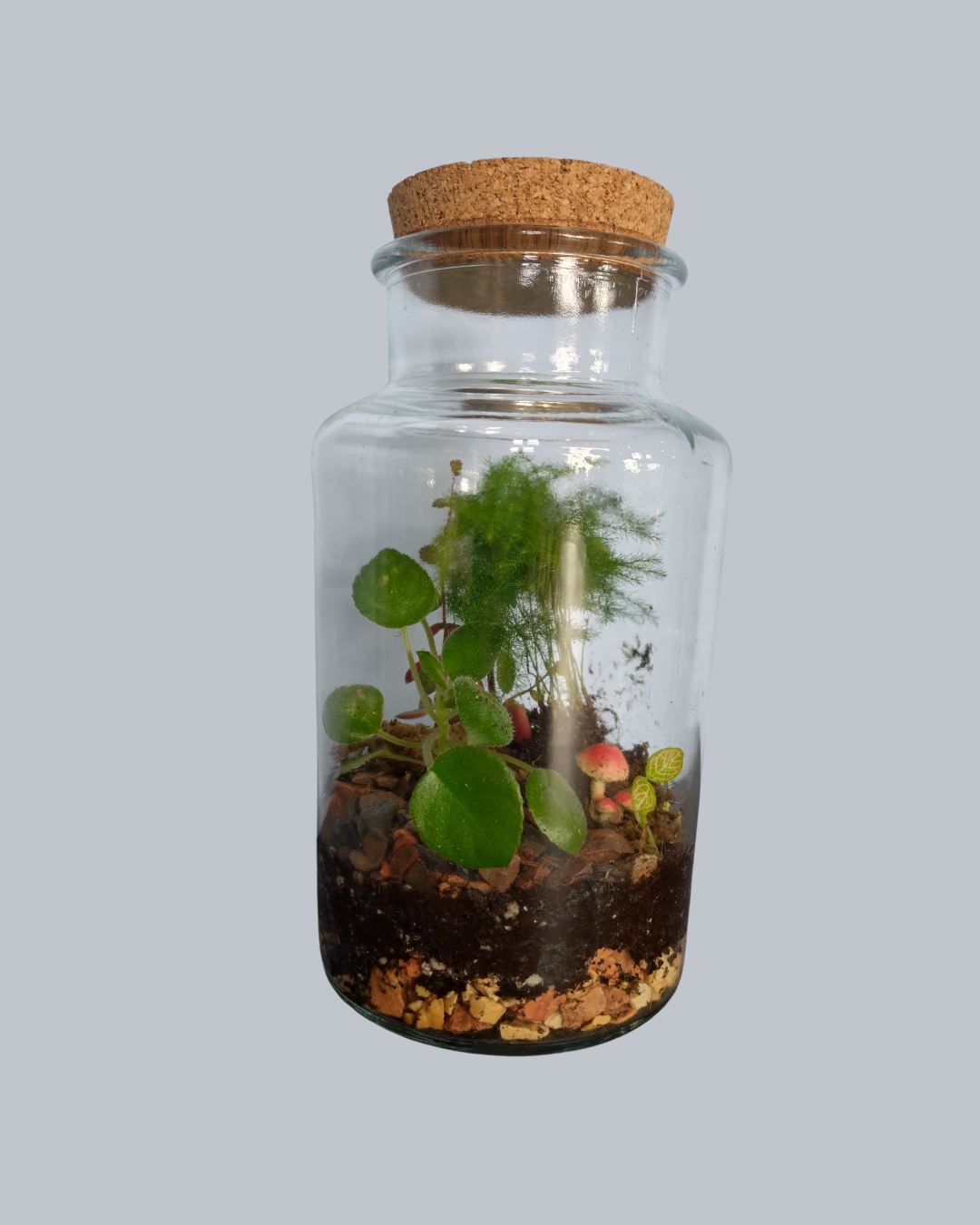 🌿 GRATIS mini-cursus: Zorg voor je ecosysteem