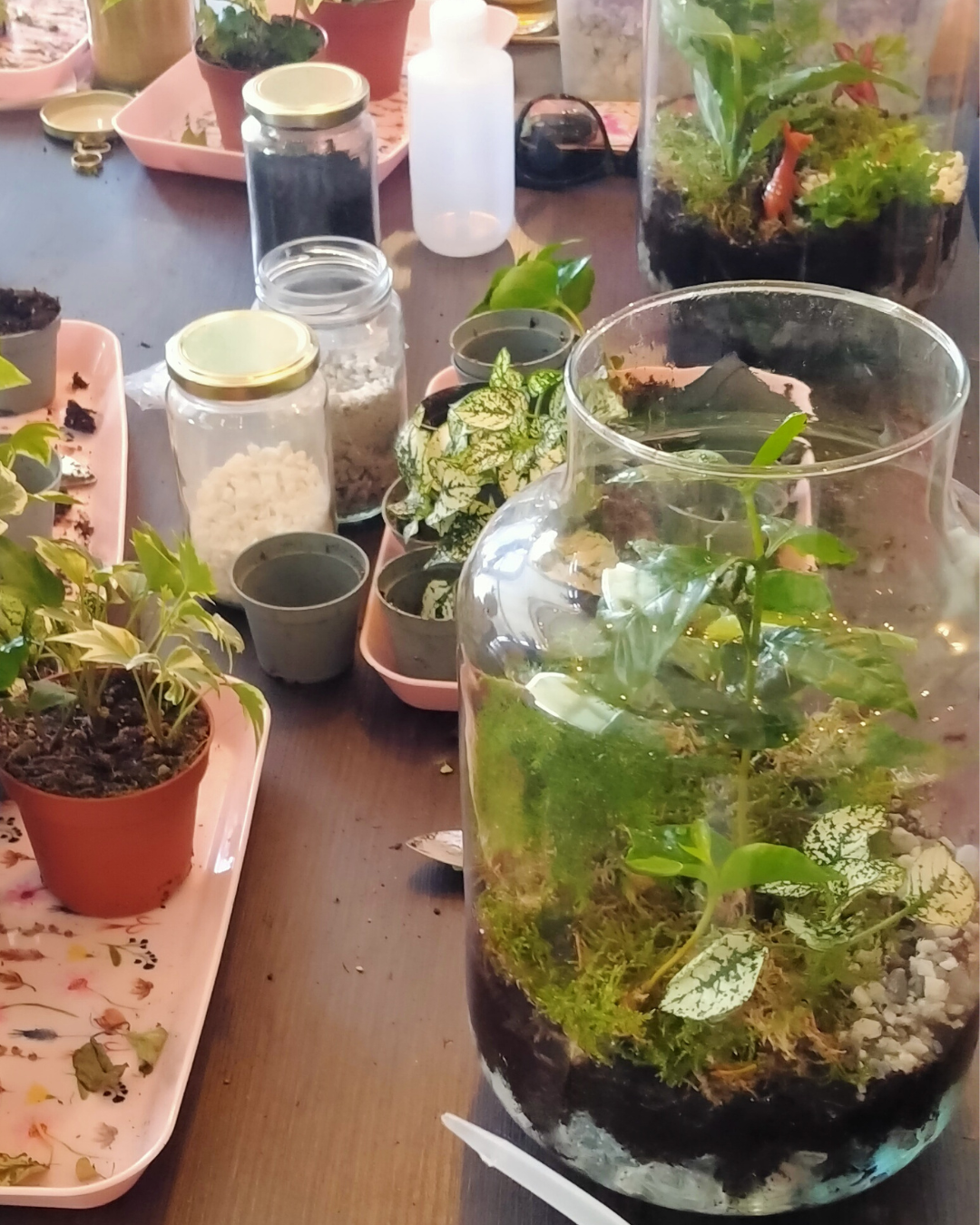 Ecosysteem maken