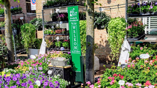 De 25ste editie van Groenmarkt Warmond