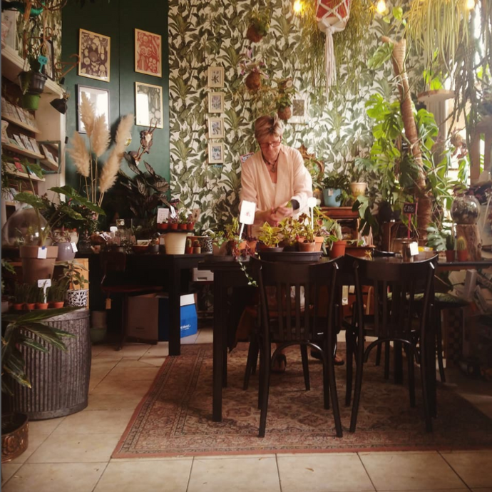 Hélène's planten en aanverwanten nu ook online te koop!