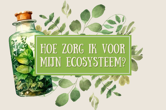 Hoe zorg ik voor mijn ecosysteem?
