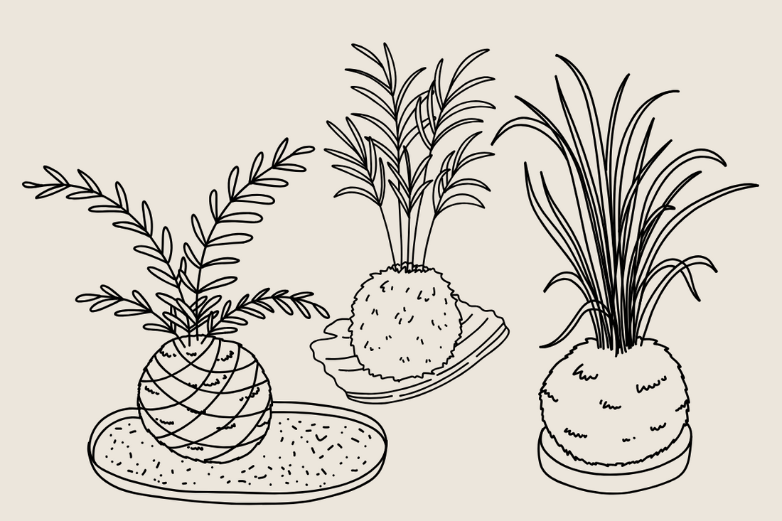 Het verzorgen van een kokedama