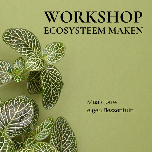 boek je workshop ecosysteem maken