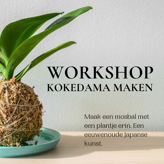 10 mei - workshop in de hortus