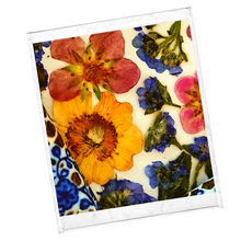 Afbeelding in Gallery-weergave laden, 13 januari - droogbloemvenster maken
