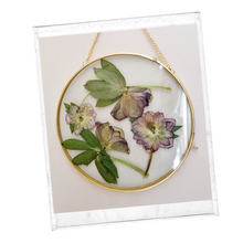 Afbeelding in Gallery-weergave laden, 13 januari - droogbloemvenster maken
