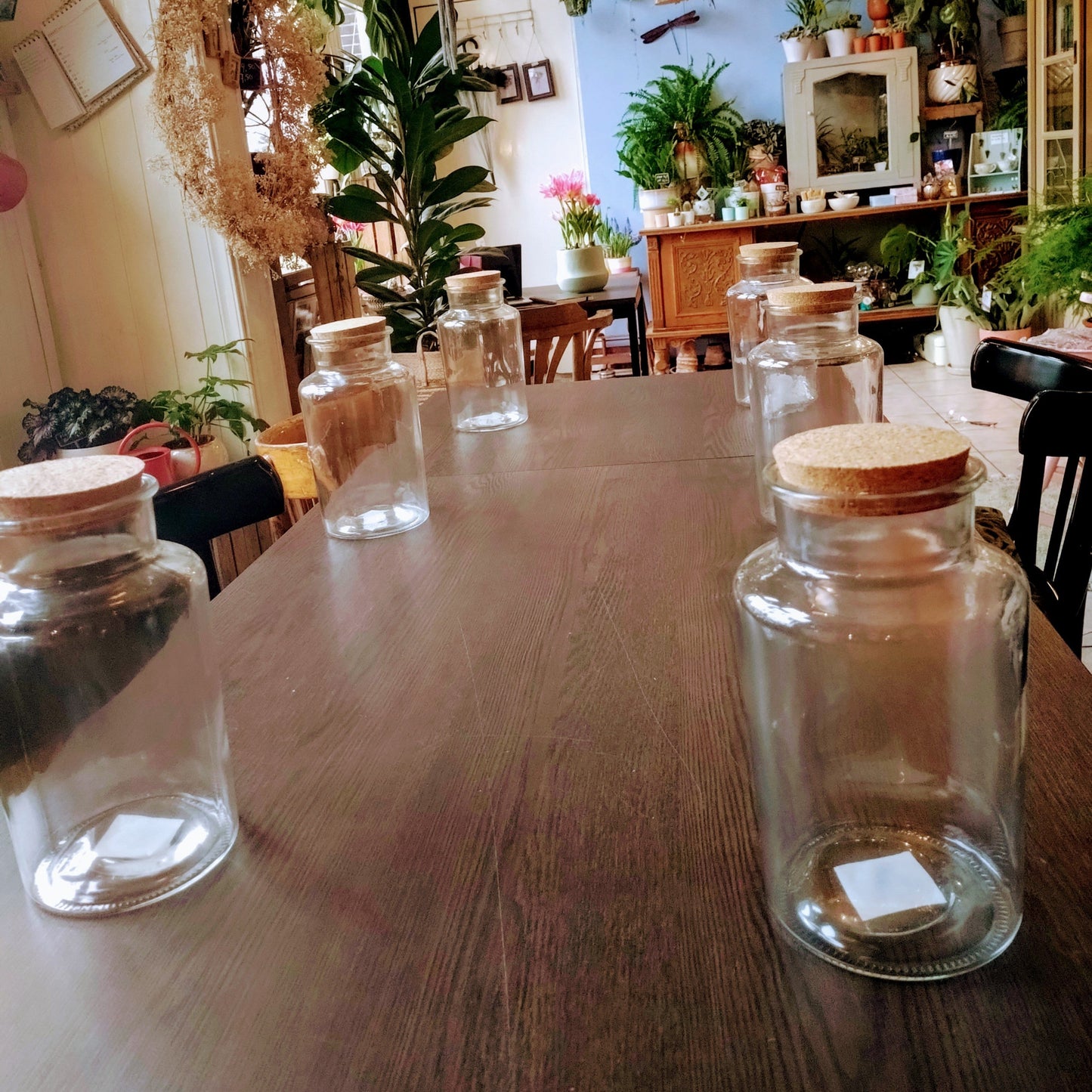 potten voor ecosystemen