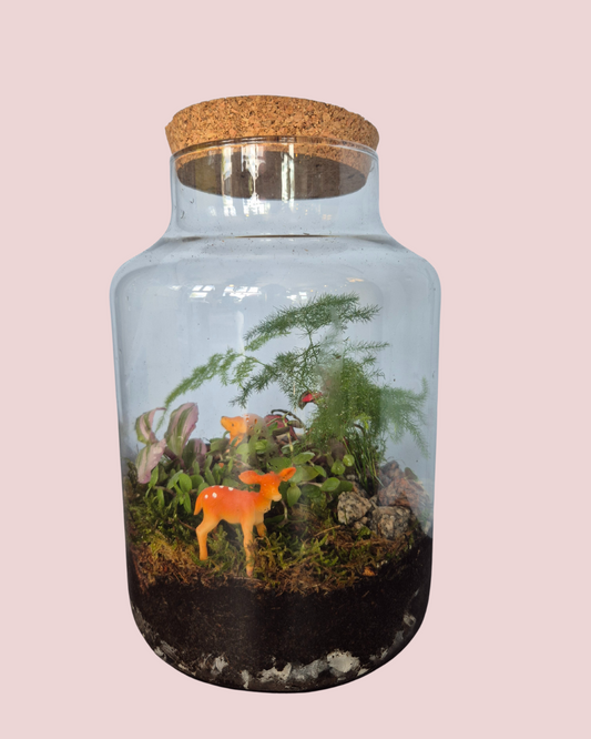 Ecosysteem maken